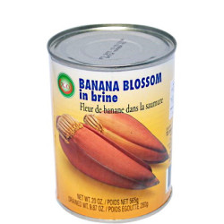 X.O - Banana blossom in brine 565g
