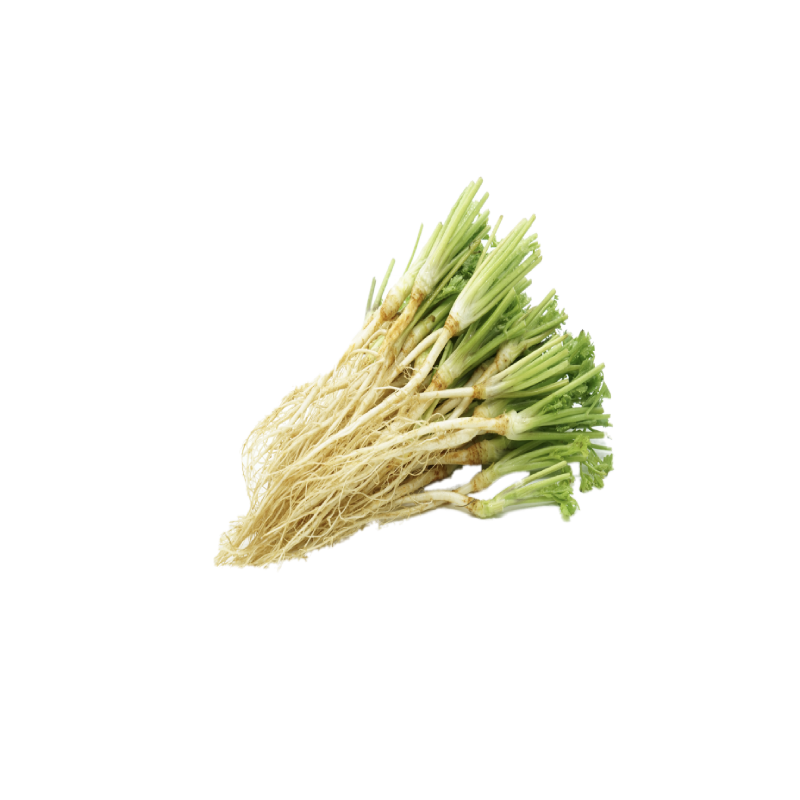 Coriander root - รากผักชี 100g