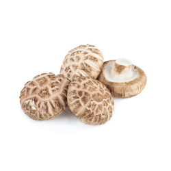 Shitake mushroom -...