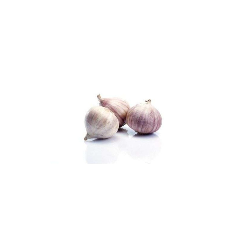 Tone garlic - กระเทียมโทน 100g
