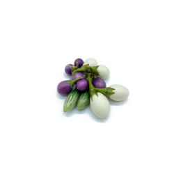 Mixed aubergines - มะเขือรวม 100g