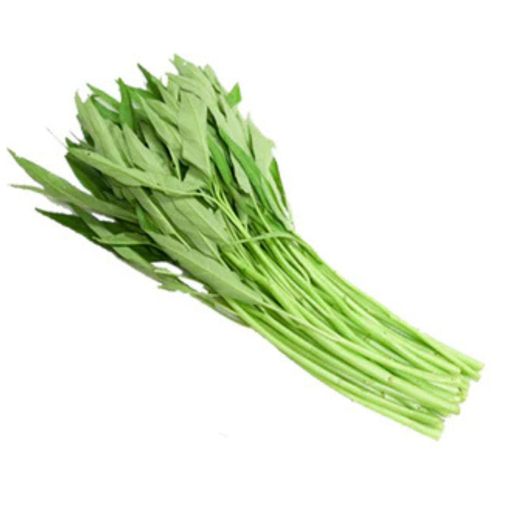 Chinese morning glory ( Ong Choi )- ผักบุ้งจีน 200g