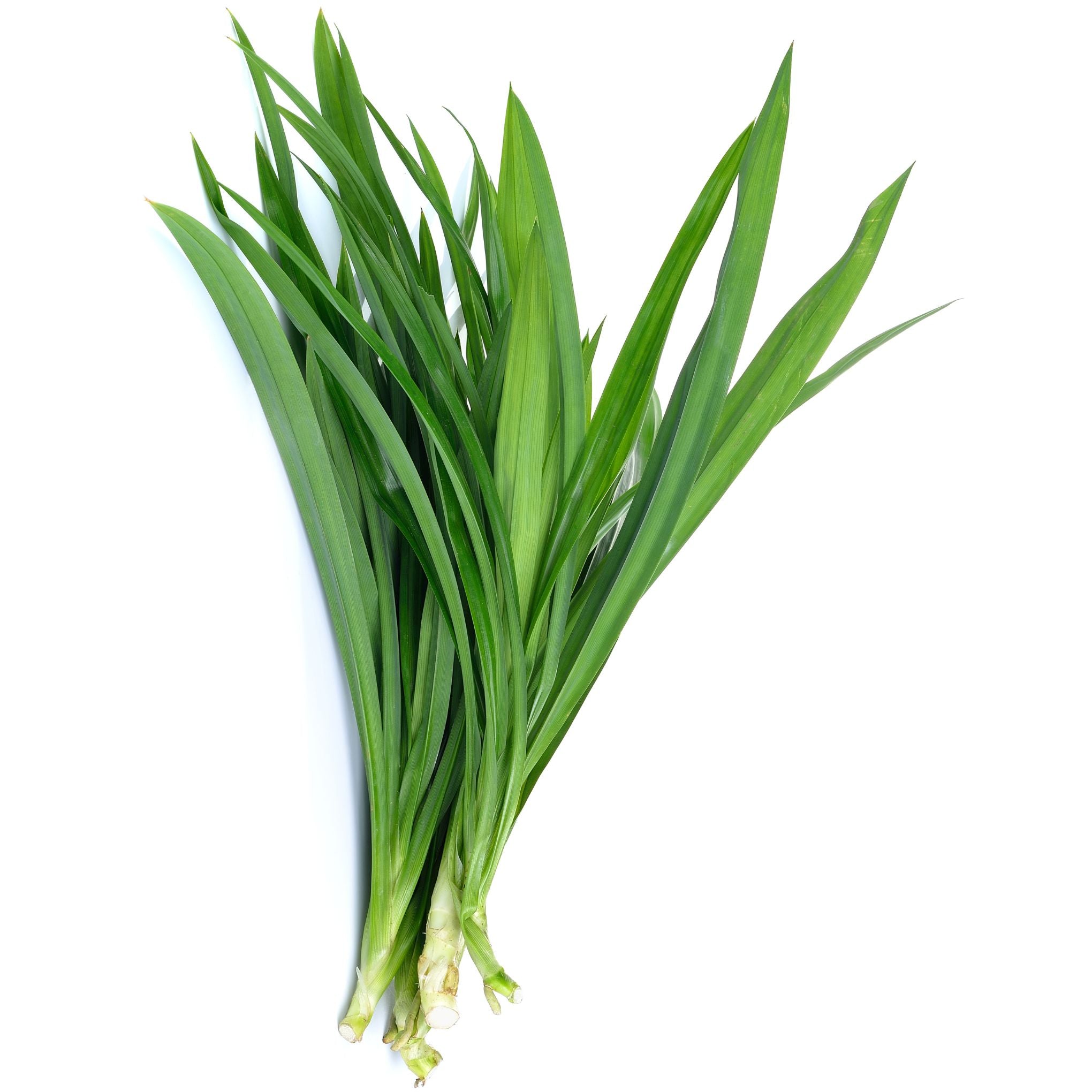 Pandan leaf - ใบเตย 100g