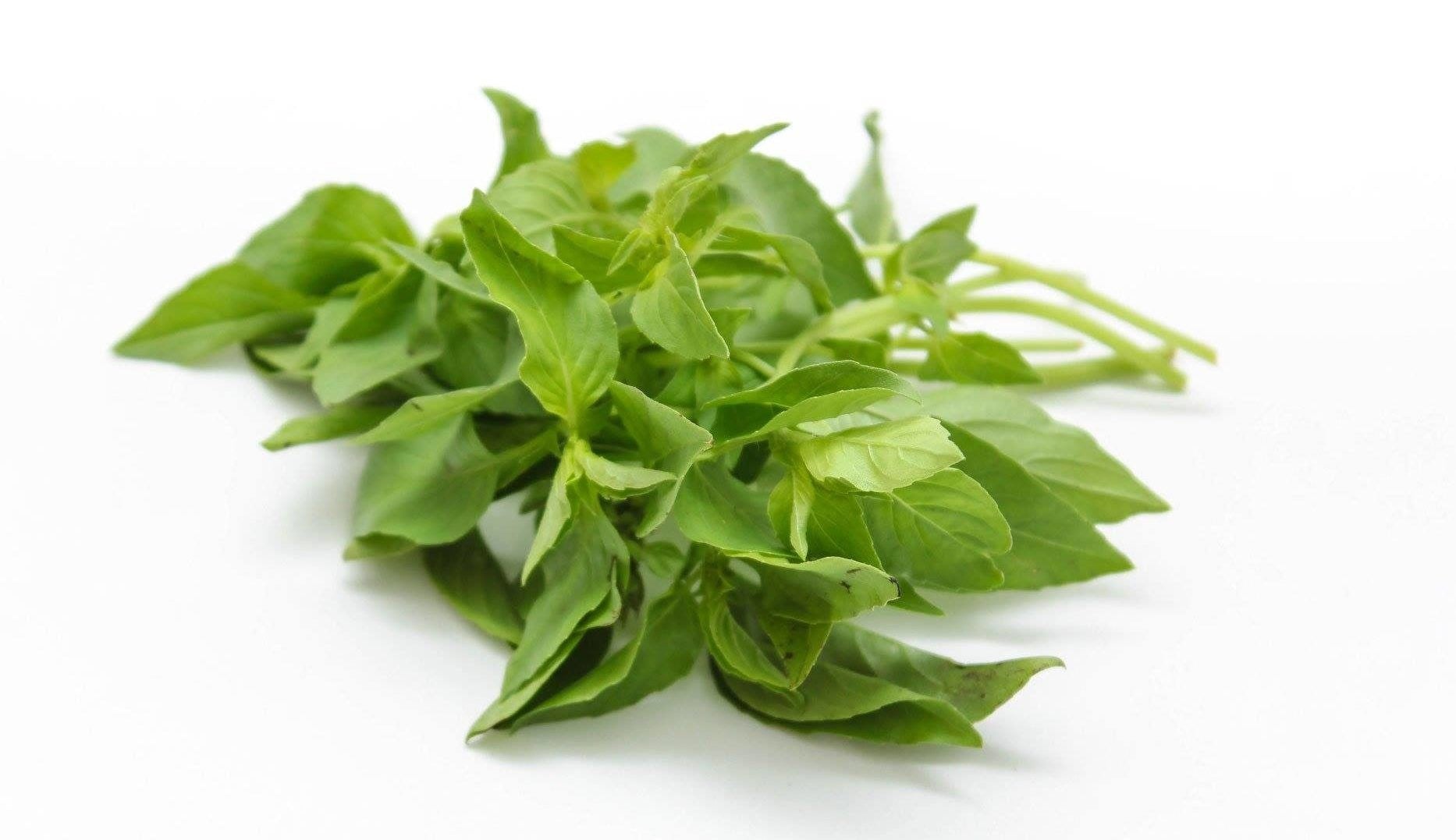 Hairy basil - ใบแมงลัก 100g