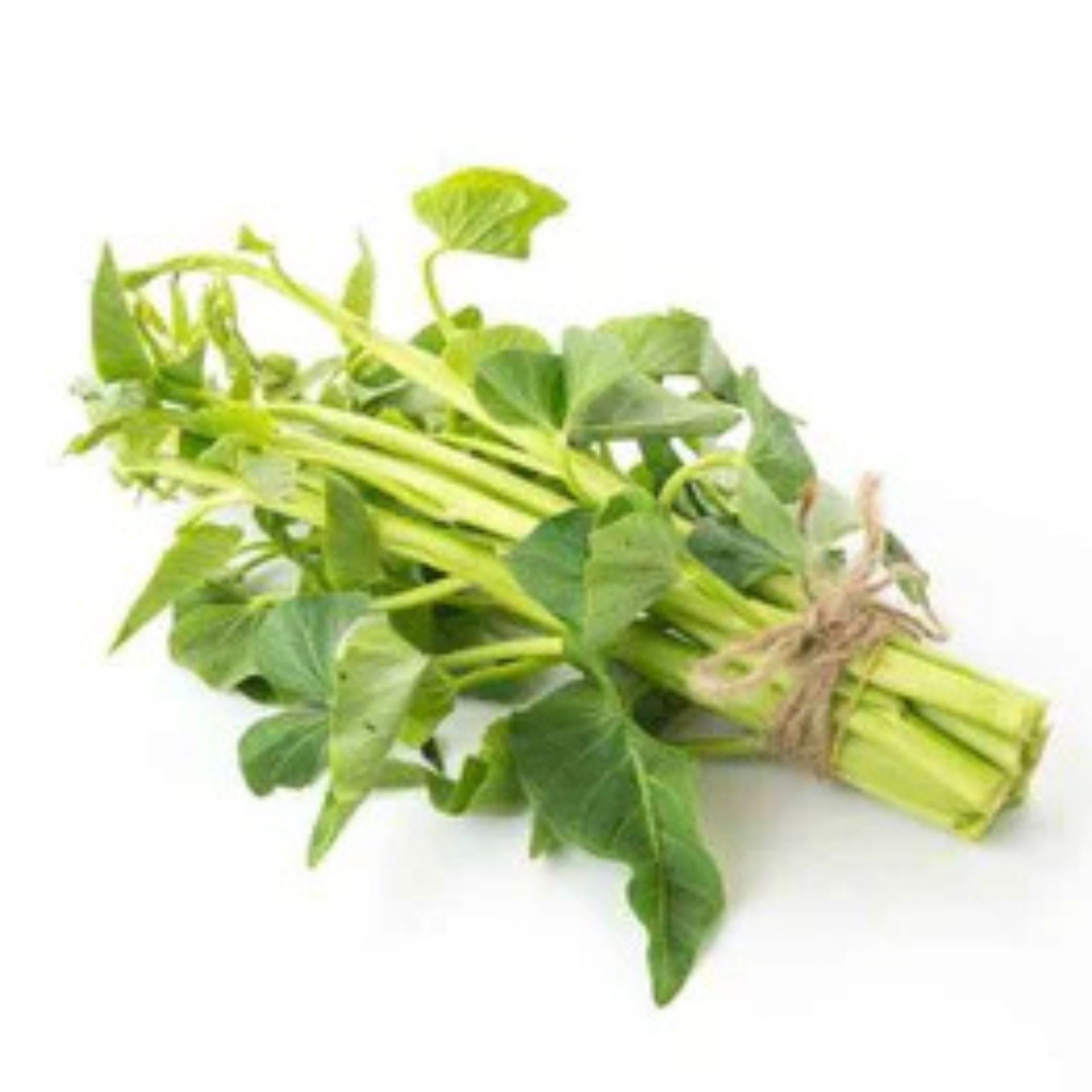 Thai morning glory - ผักบุ้งไทย 200g