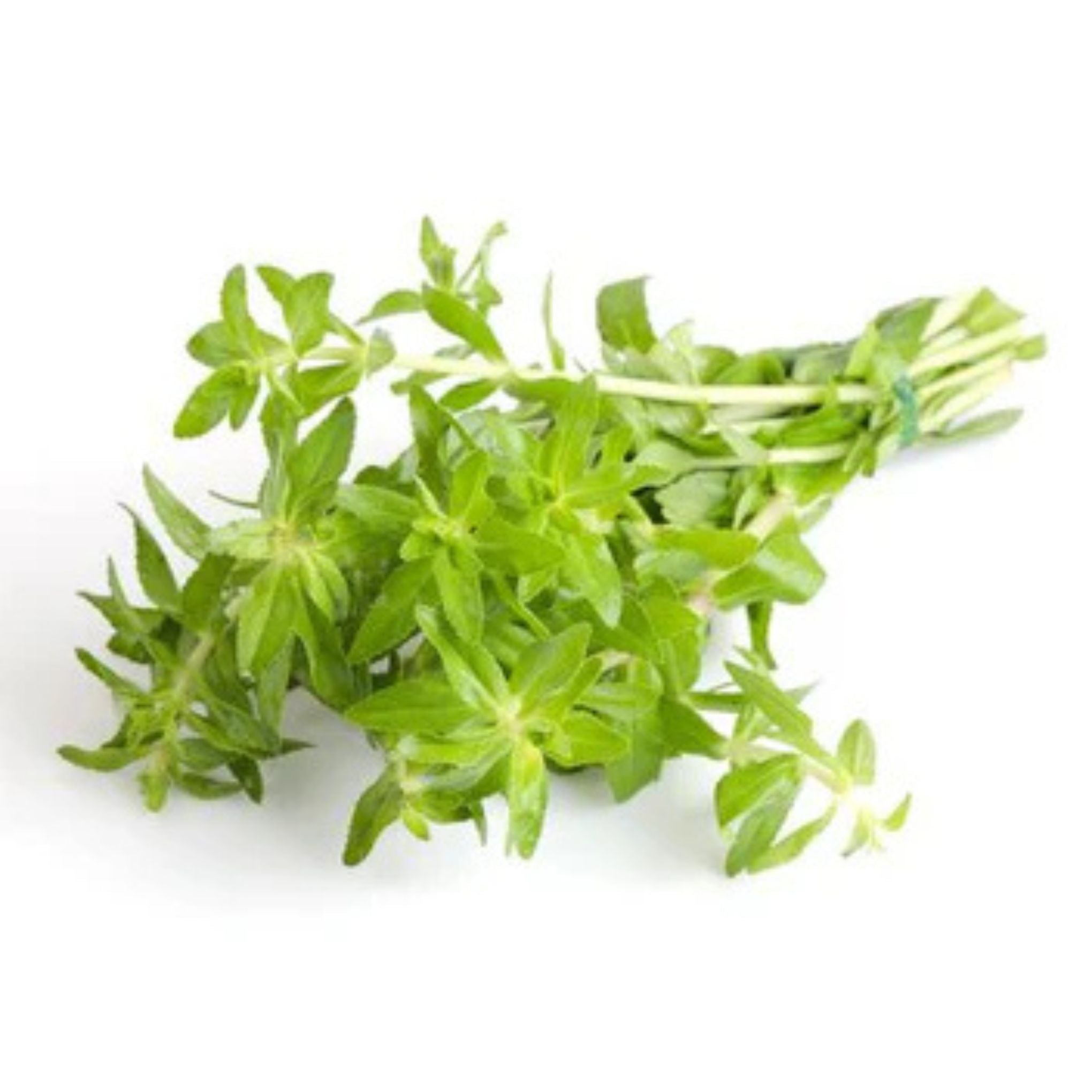 Pak kayang - ผักแขยง 100g