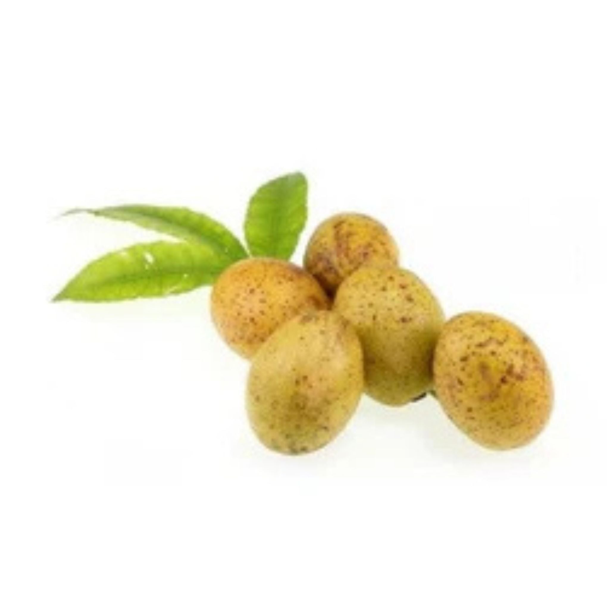 Hog Plum (Makog) - มะกอกลาว 100g