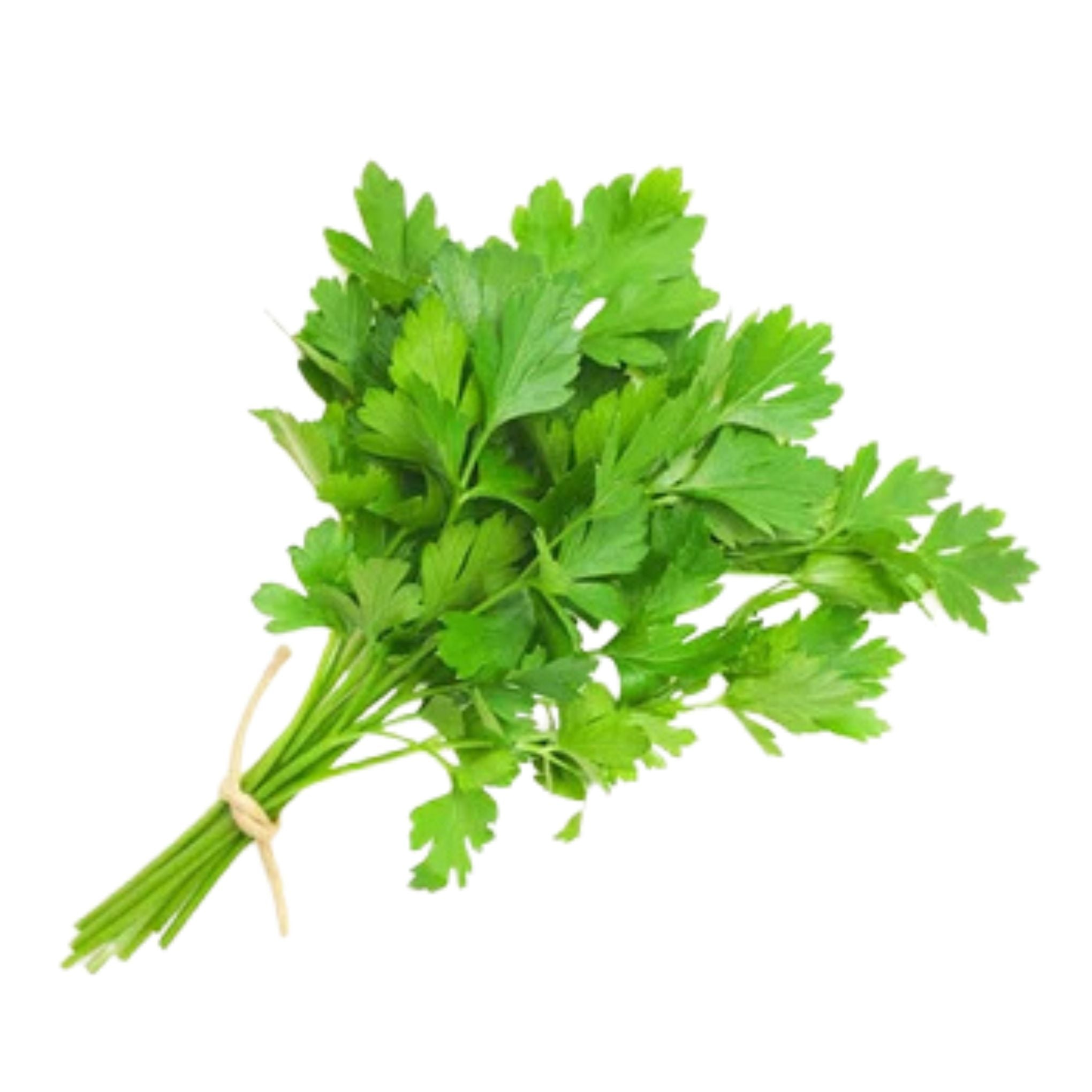 Chinese celery - คื่นช่าย 100g