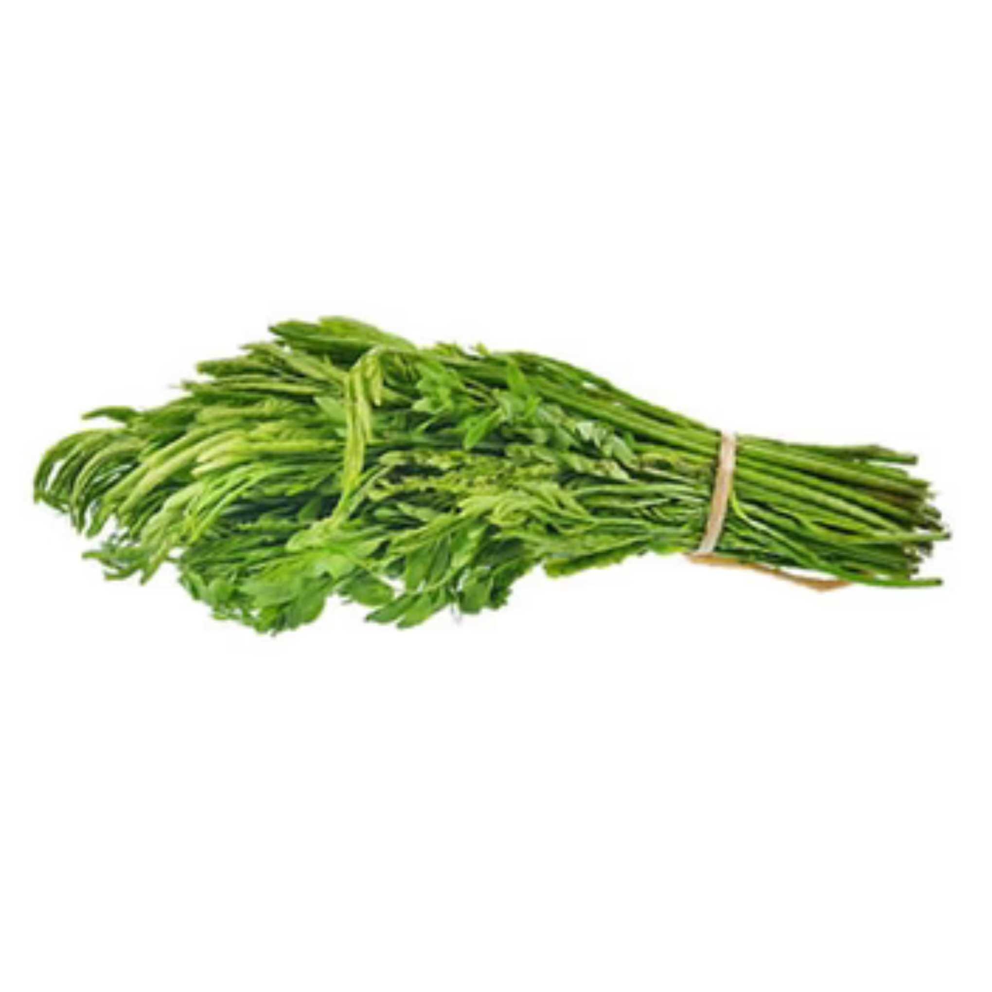 Kratin Leaf (ยอดกระถิน) - 100g