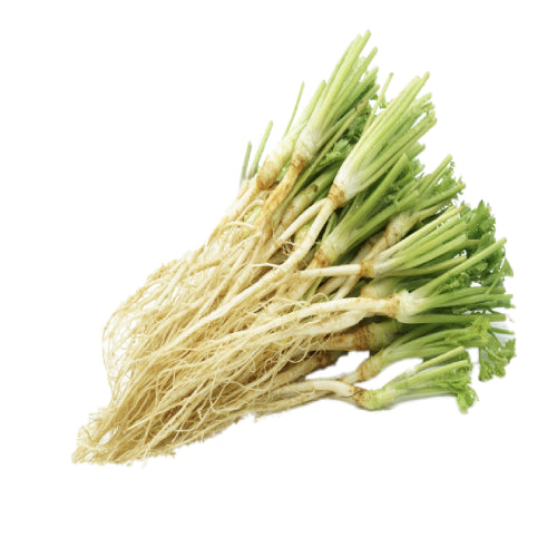 Coriander root - รากผักชี 100g