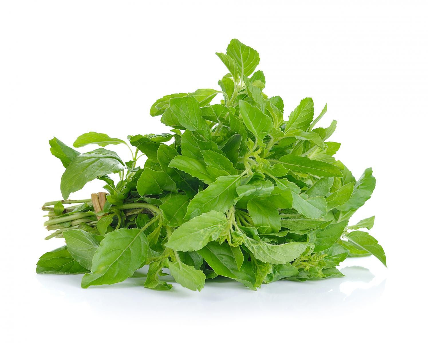 Thai holy basil - ใบกะเพรา 100g