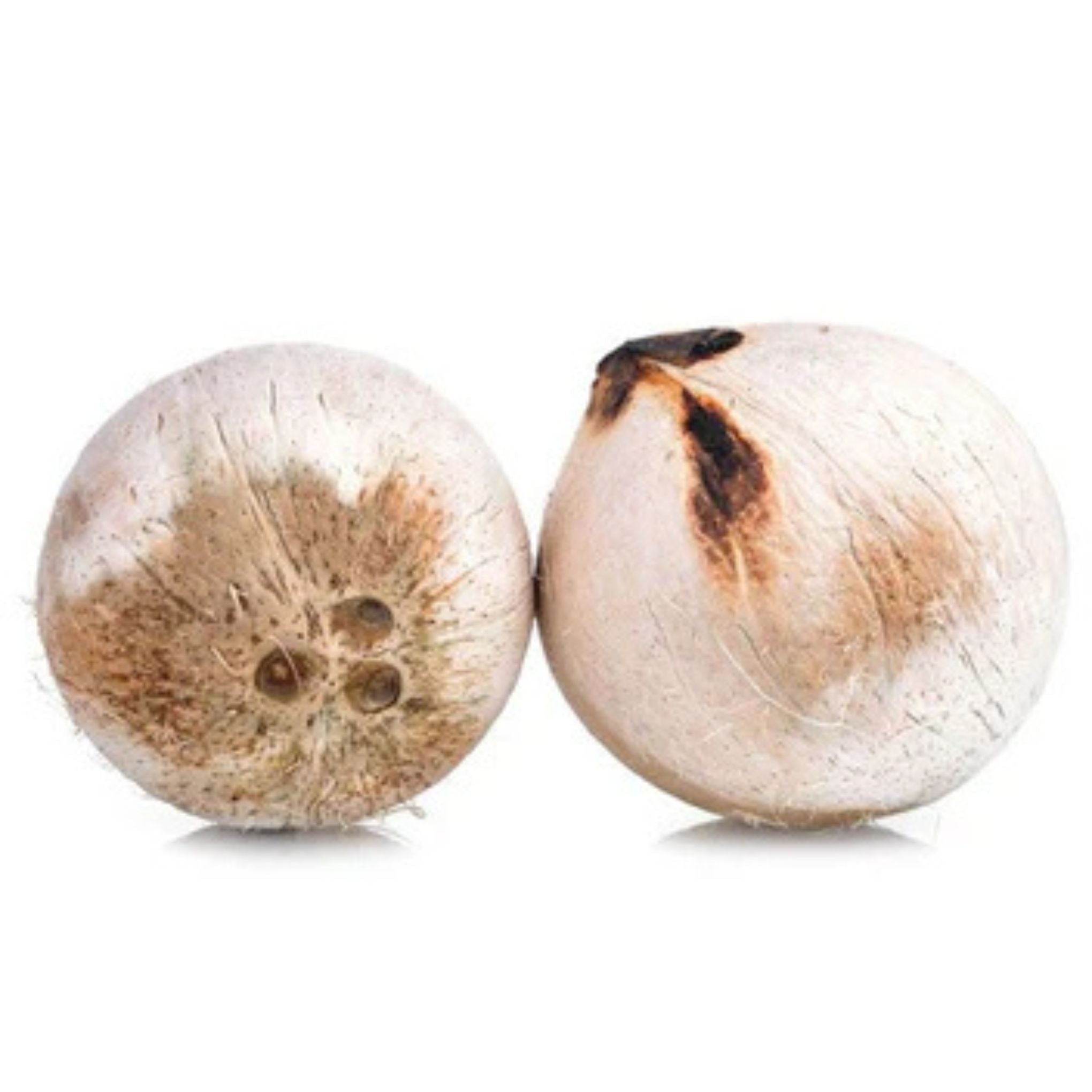 Roasted coconut - มะพร้าวน้ำหอมเผา 1 piece