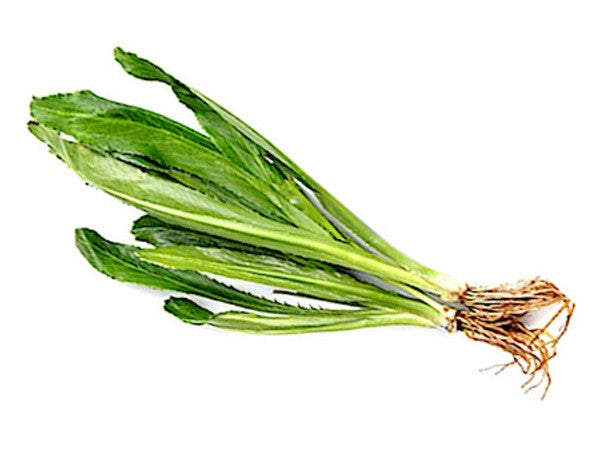 Thai parsley - ผักชีฝรั่ง 100g