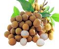 Longan - ลำใย 500g