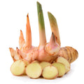 Galangal - ข่า 100g