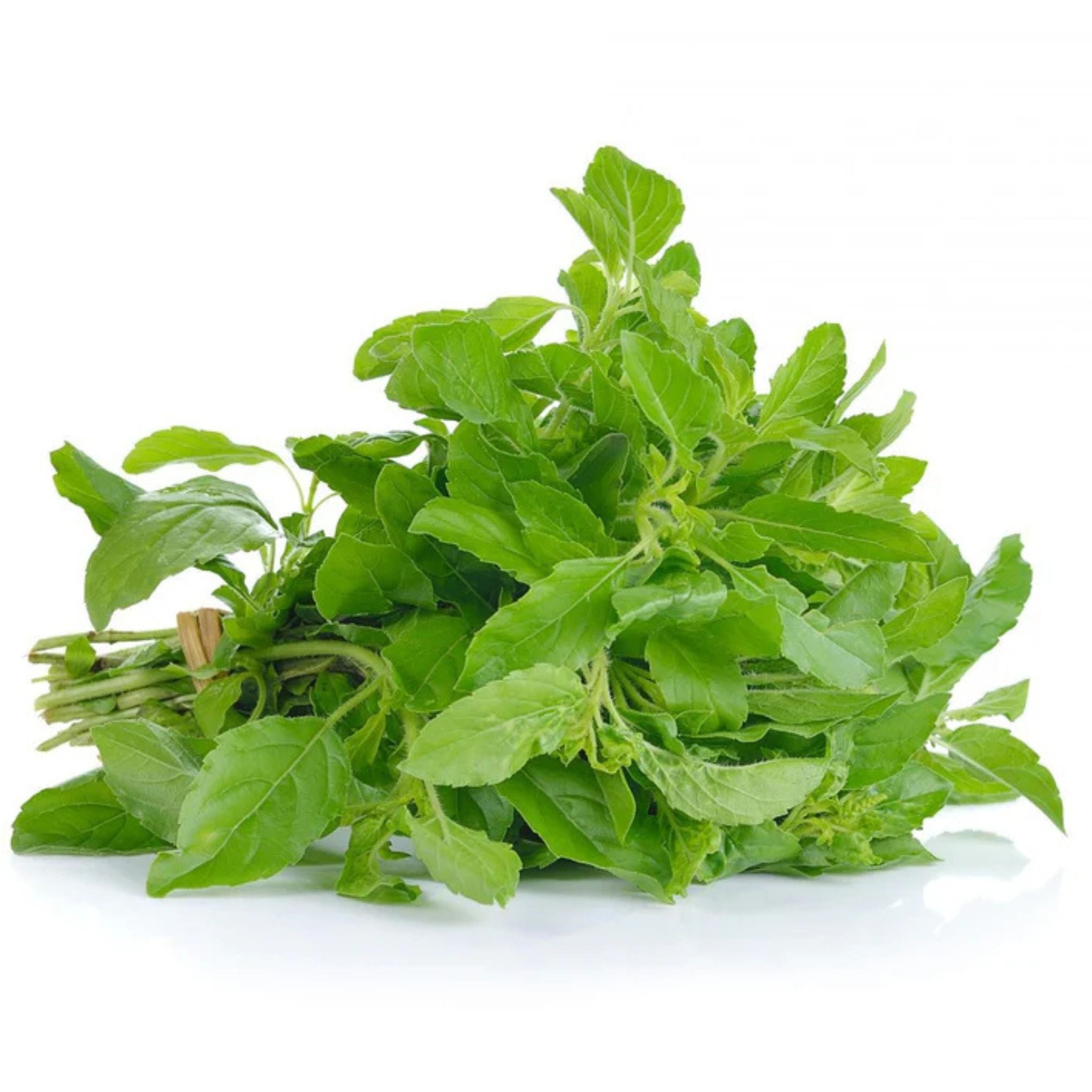 Thai holy basil - ใบกะเพรา 100g