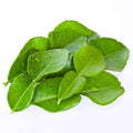Fresh Kaffir Lime Leaf (ใบมะกรูด) - 100g