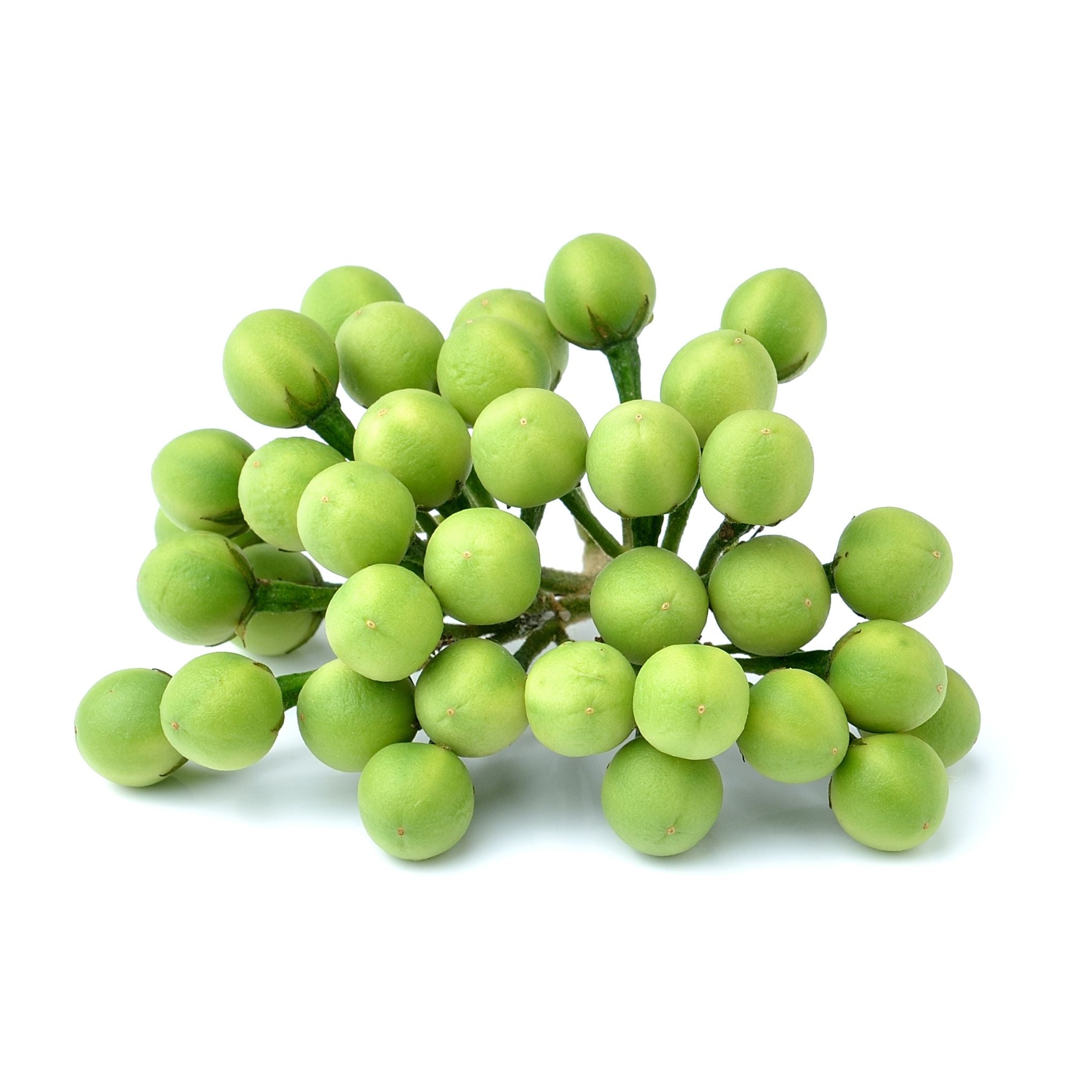 Pea aubergine - มะเขือพวง 100g