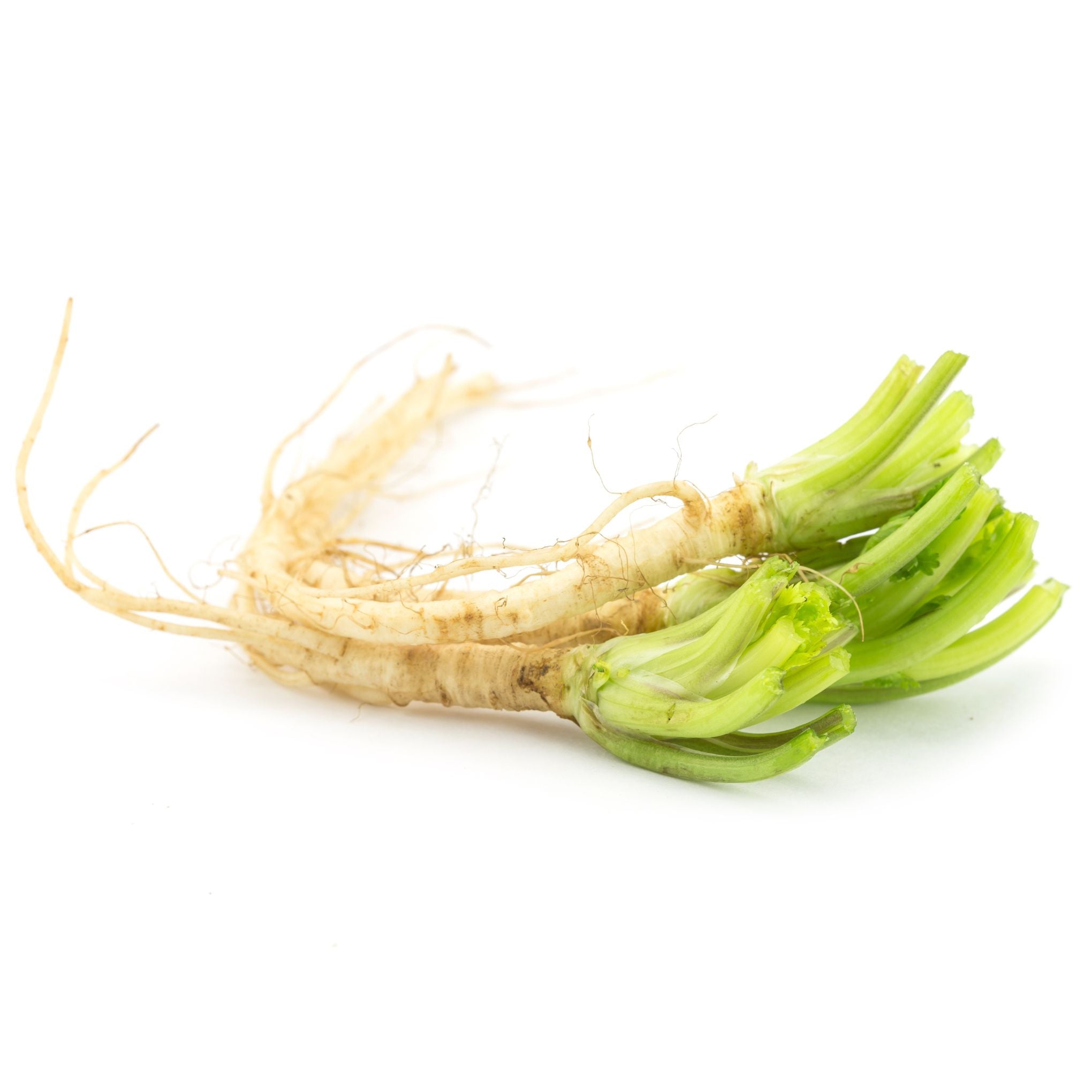 Coriander root - รากผักชี 100g