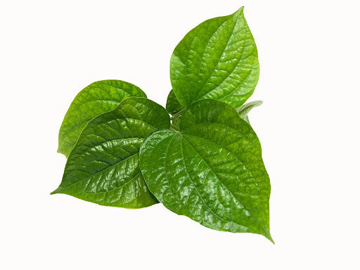 Cha plu leaf - ใบชะพลู 100g