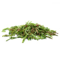 Tamarind leaf - ใบมะขามอ่อน 100g