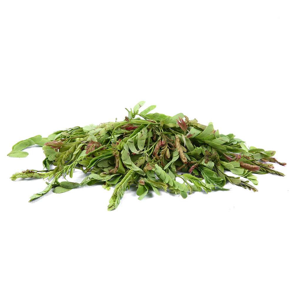 Tamarind leaf - ใบมะขามอ่อน 100g
