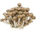 Brown Shi-Me-Ji Mushroom - 125g