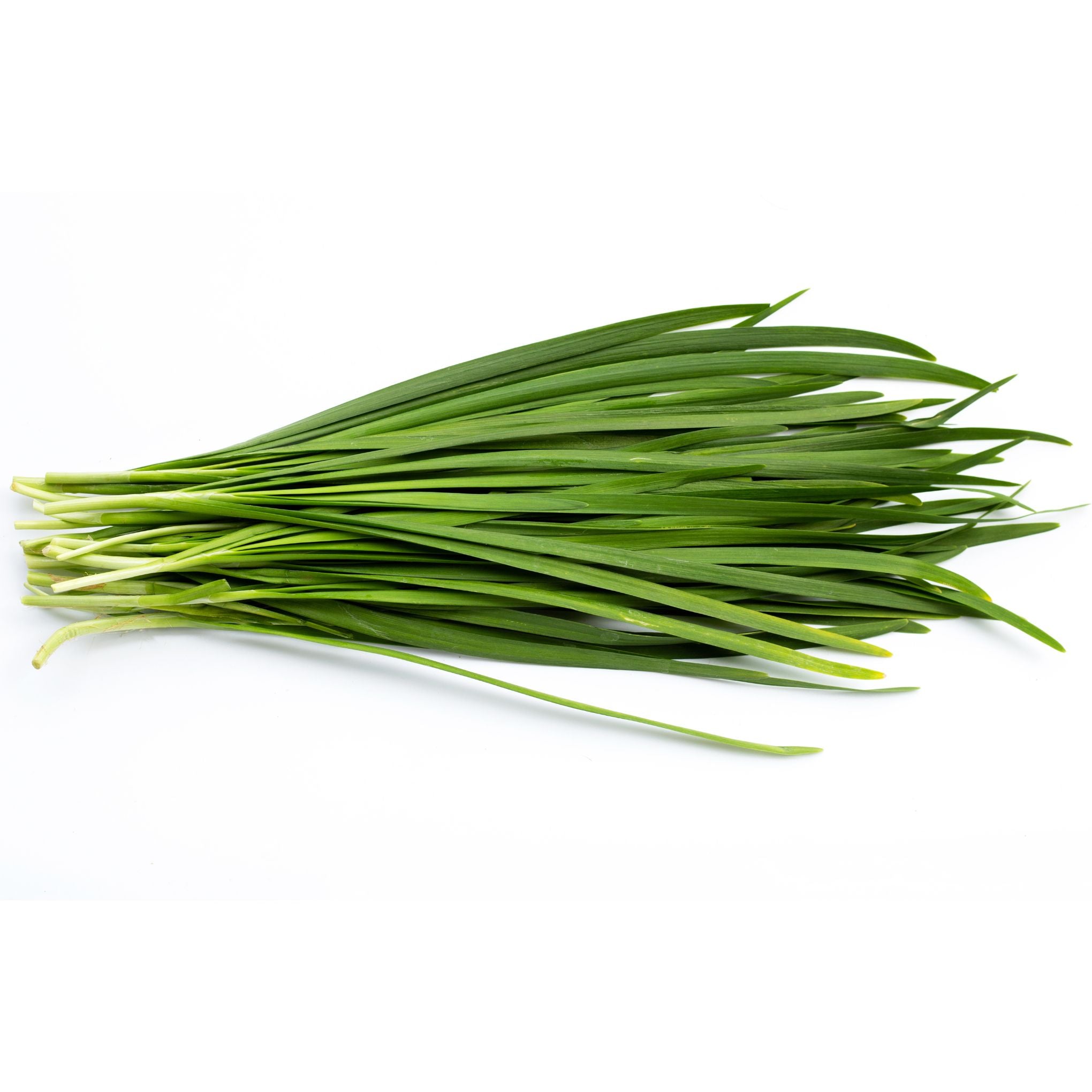 Chive Leaf (ใบกุ้ยช่าย) - 100g