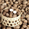 Earthstar Mushroom - เห็ดเผาะ 500g