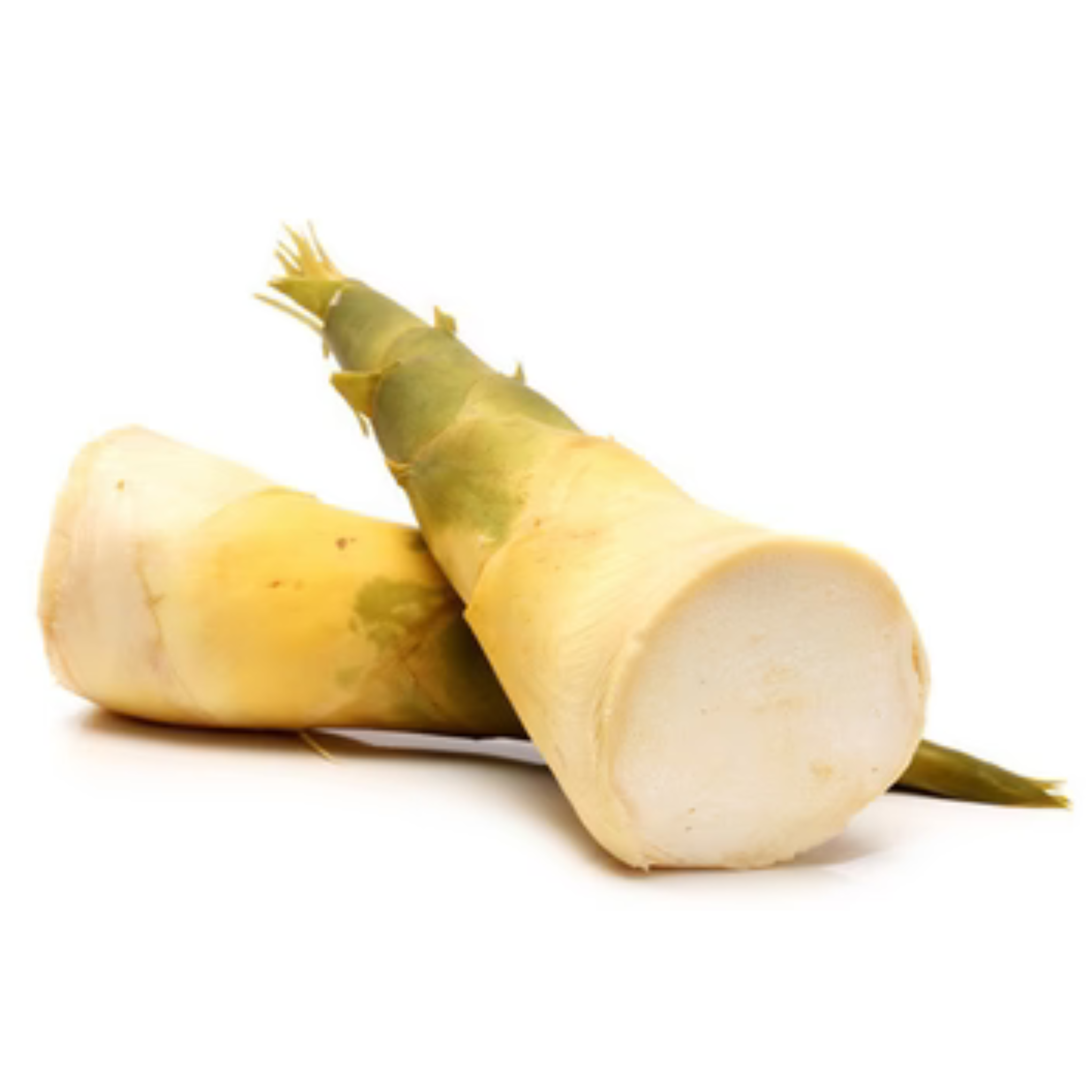 Fresh Bamboo Shoot (หน่อไม้ไผ่ตง) (Approx 1kg)