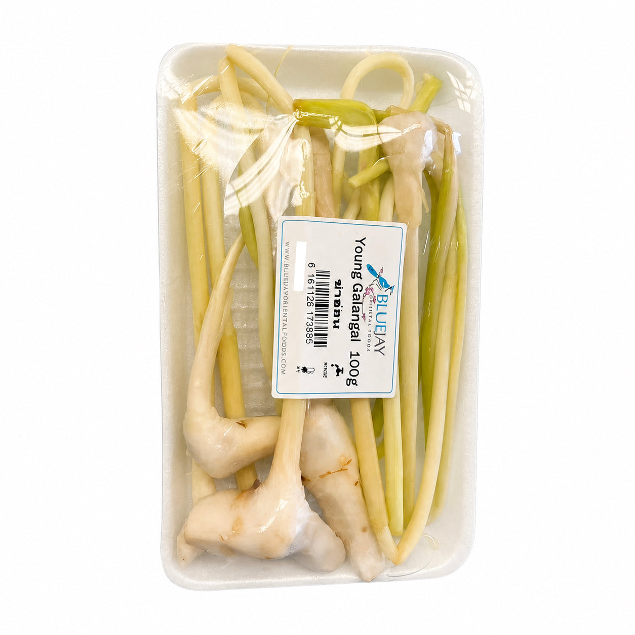 Young Galanga Stem - ข่าอ่อน - 100g