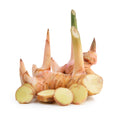 Galangal (ข่า) - 100g