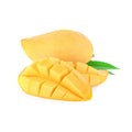 Golden (Yellow) Mango - มะม่วงสุกน้ำดอกไม้ - 3kgs (Pre-order)