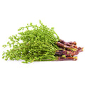 Margosa Flower (ดอกสะเดา) - 100g