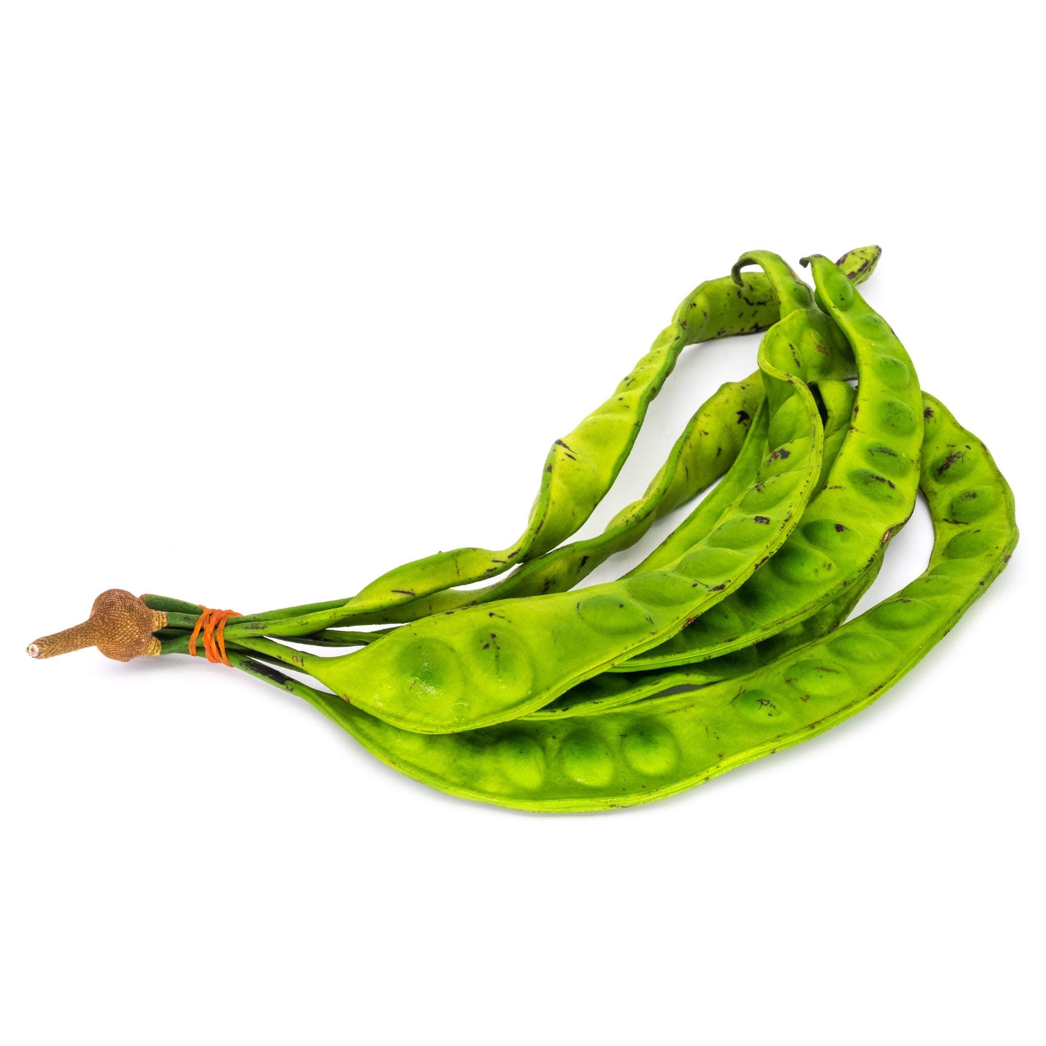 Unpeeled sator bean - สะตอฝัก 200g