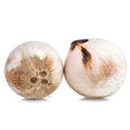 ROASTED COCONUT  - มะพร้าวน้ำหอมเผา 1 piece