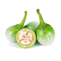 Round Egg Plant (มะเขือเปราะ) - 200g