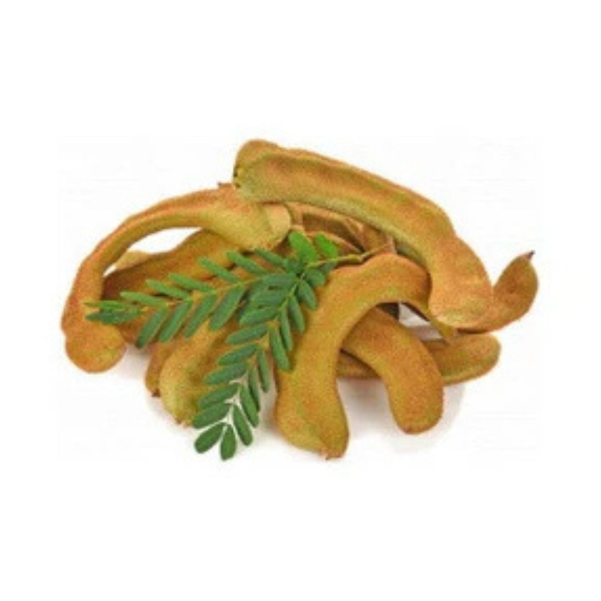 Young Tamarind (มะขามอ่อน) - 100g