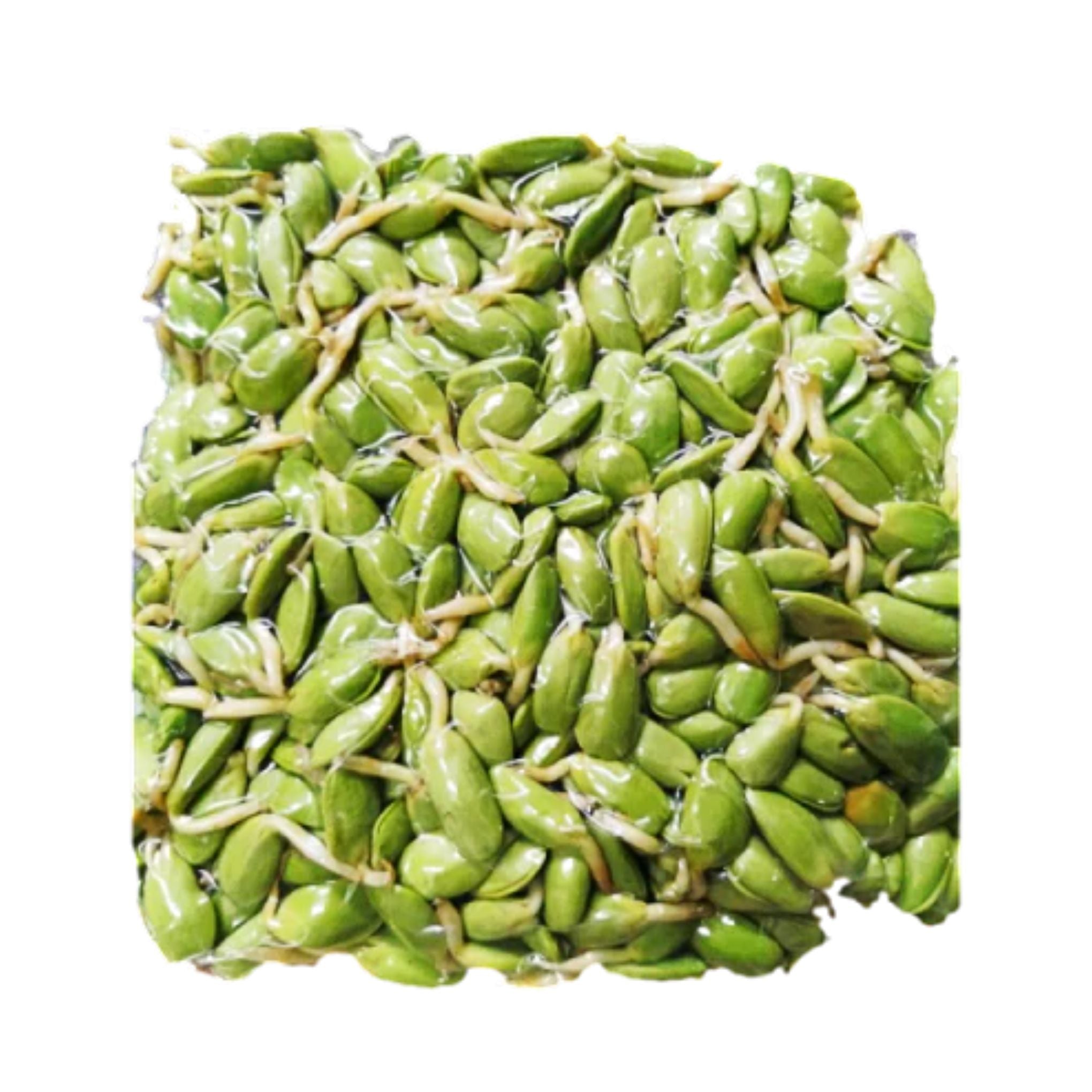Luk Lieng (ลูกเหรียง) - 100g