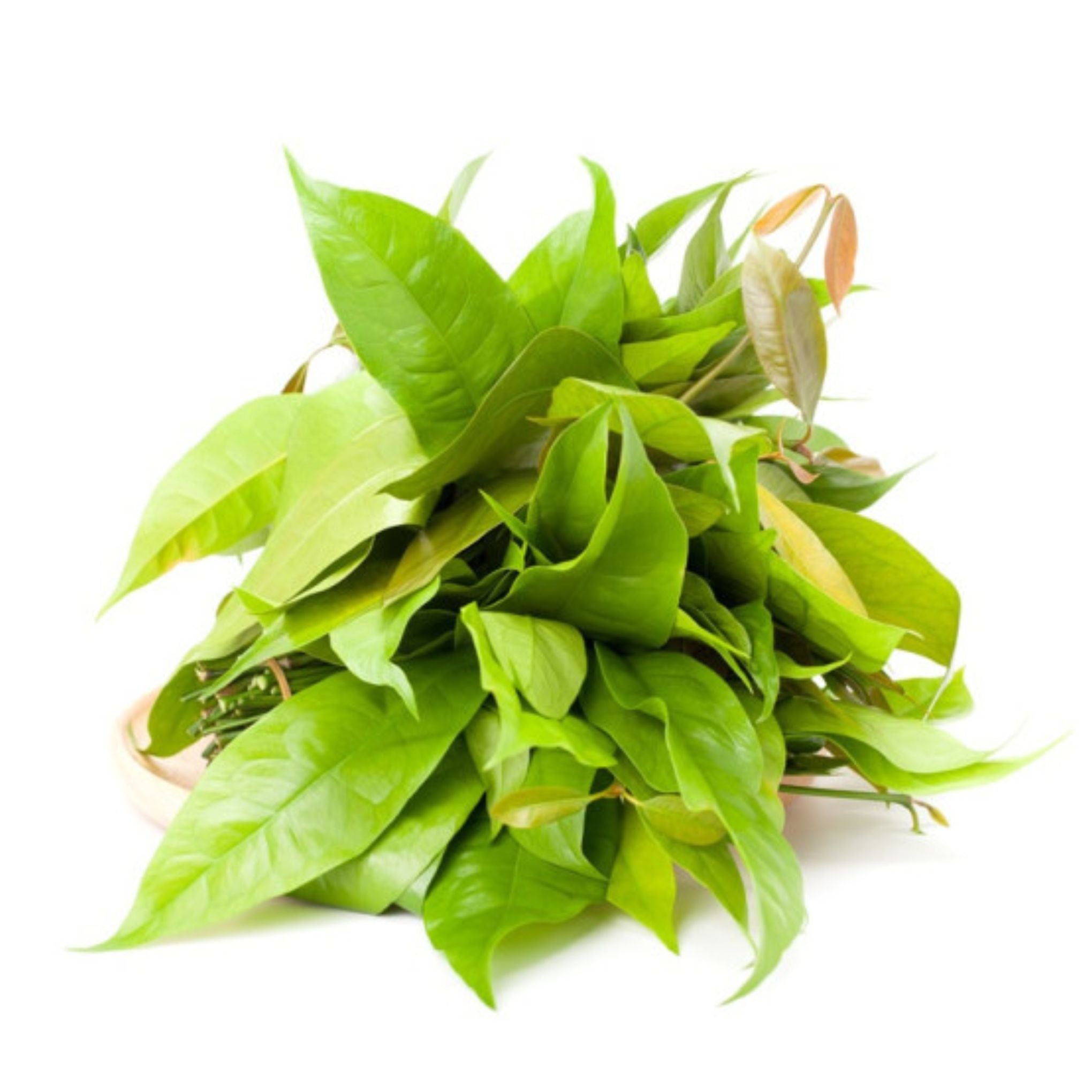 Pak Lien - ผักใบเหลียง - 100g