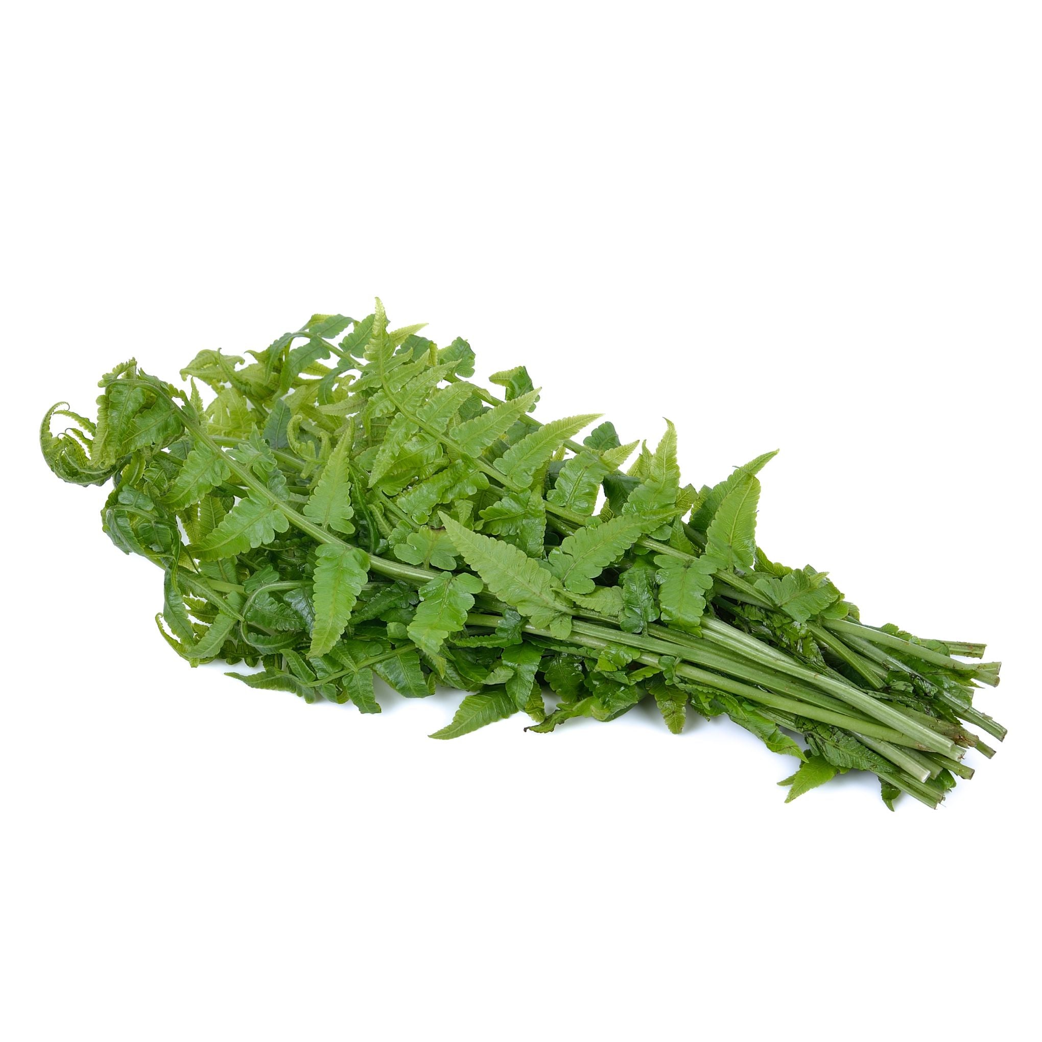 Pak Good (ผักกูด) - 100g