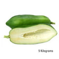 Thai Green Papaya (มะละกอไทย) - 5kg